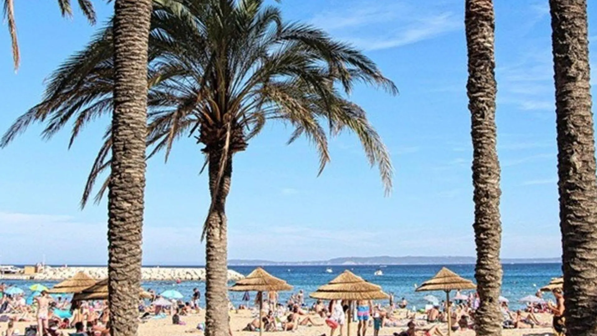 Appartement T2 Avec Terrasse Sud, Garage, Centre-Ville Du Lavandou, Proche Plage - Fr-1-251-789 Le Lavandou